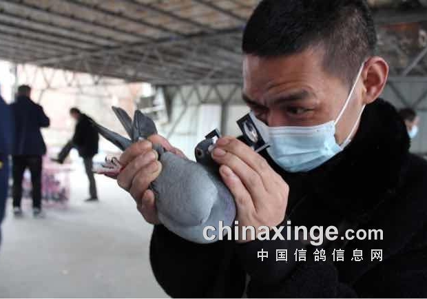 һ�ۼ�����ڼ�������