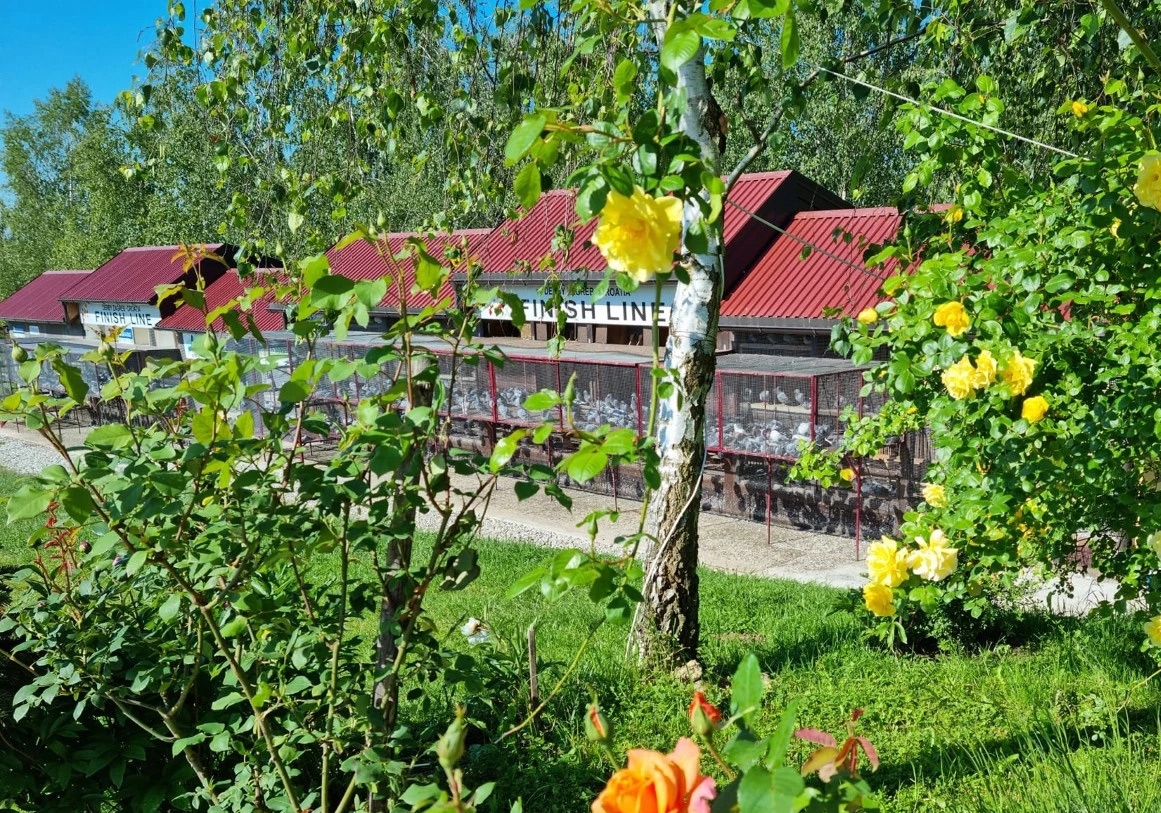 ���170+�ҹ�������ϵ�У�9��