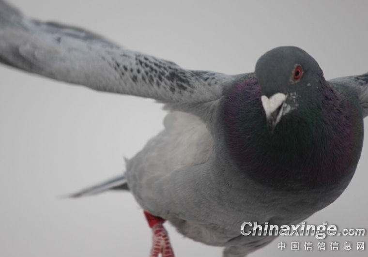 �ִ�5�����̭��