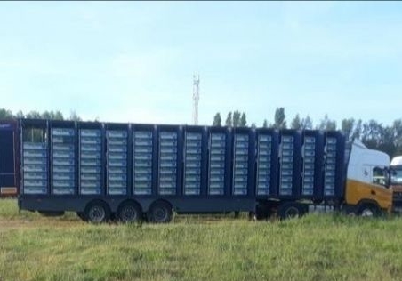 ��ŷ��������