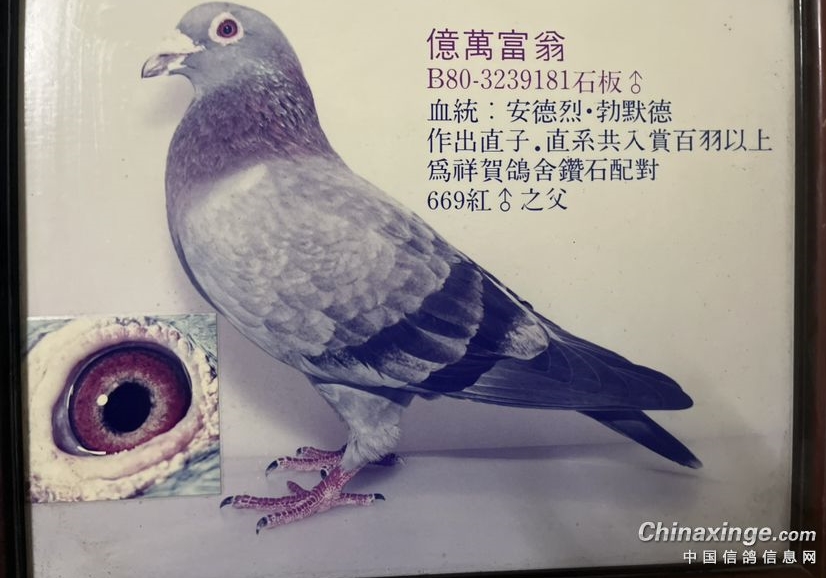 ��Ѫ��ô������ϵ����������ͼ