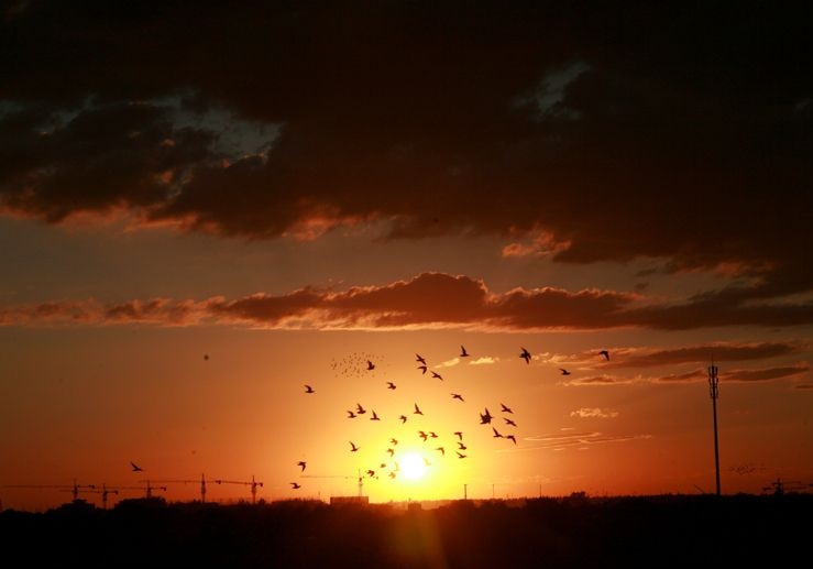 ���Ȳ��ʺ�ѵ����