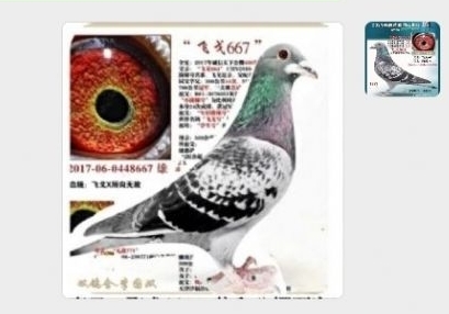 �Ĵ�ͬ������ ���﹫��������45��