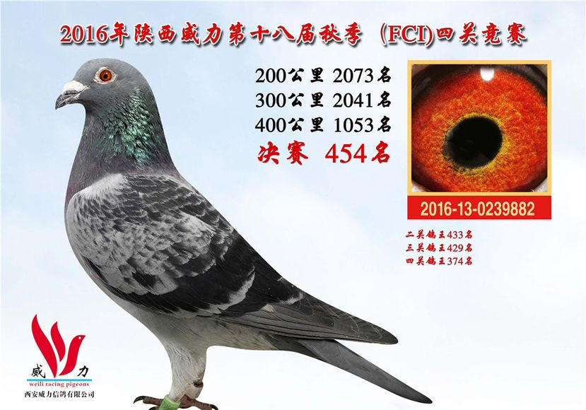 ����ͬ�ѽ������ ������ս��˵��