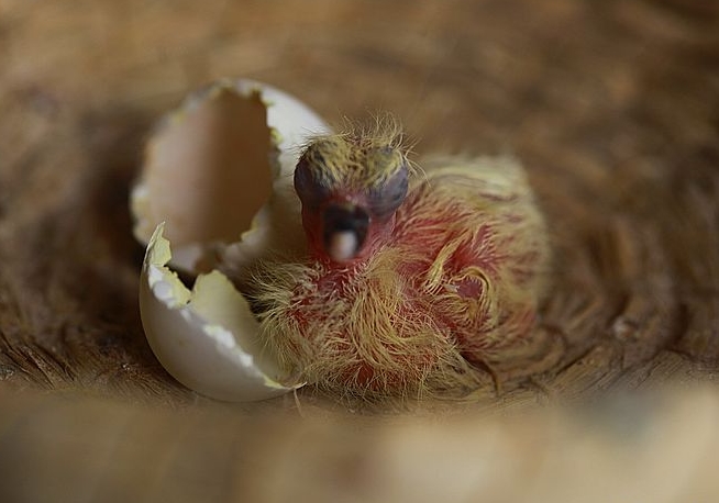 ������������������