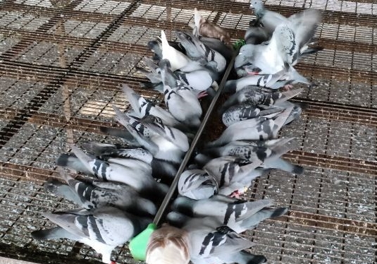 �ļ�����Ҫע��ʲô��