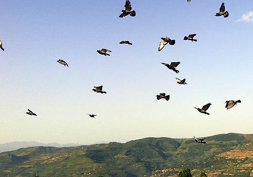 �ϱ���������ôѡ