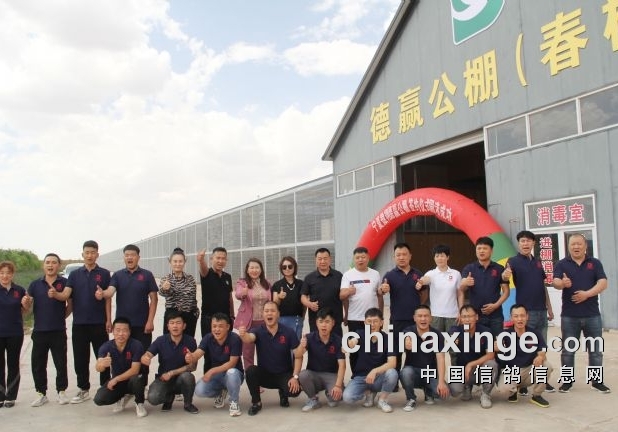 八月选公棚：傲翔德赢春棚赢奖概率大！