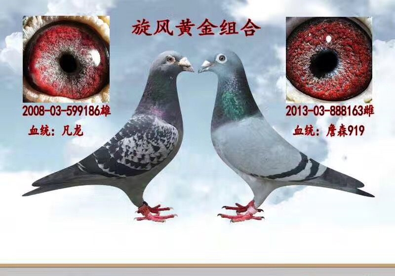 ���ڸ벻�� ����ǰ���ӵ�����