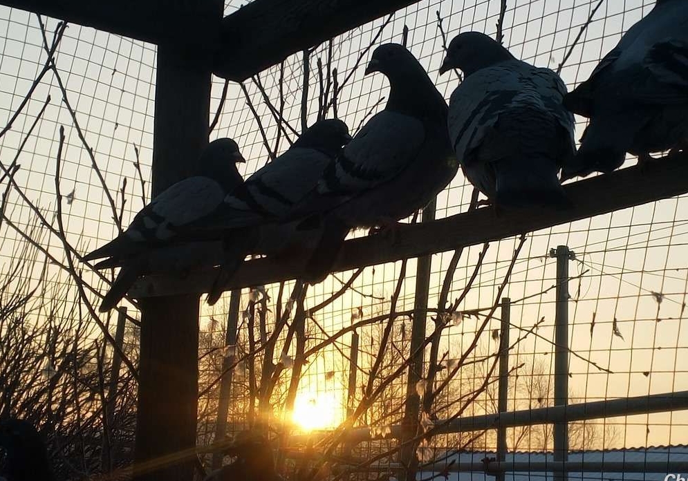 �����ܹ⻻��