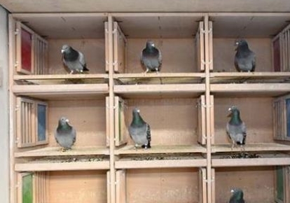 ¥�����������