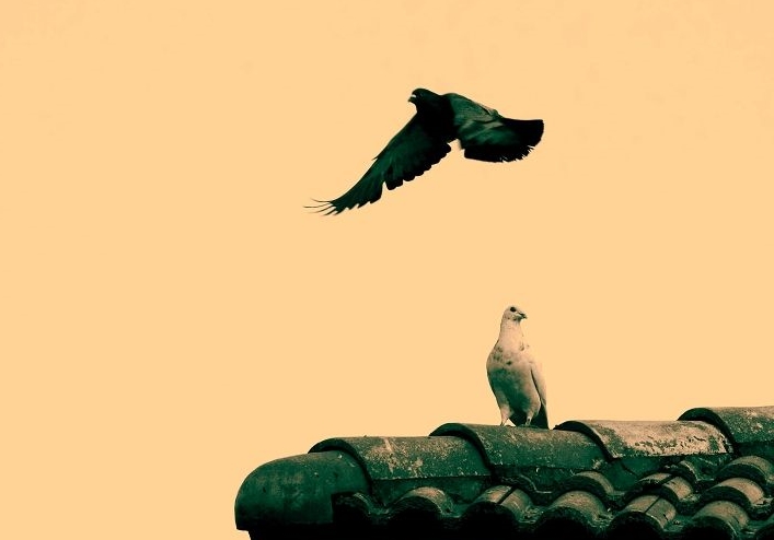 �챻��������������