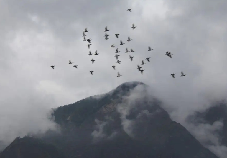 ���ݹ�����Ҫ��