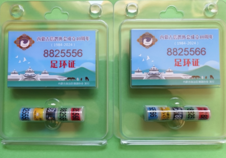 ���ɹţ����и�����40��������㻷
