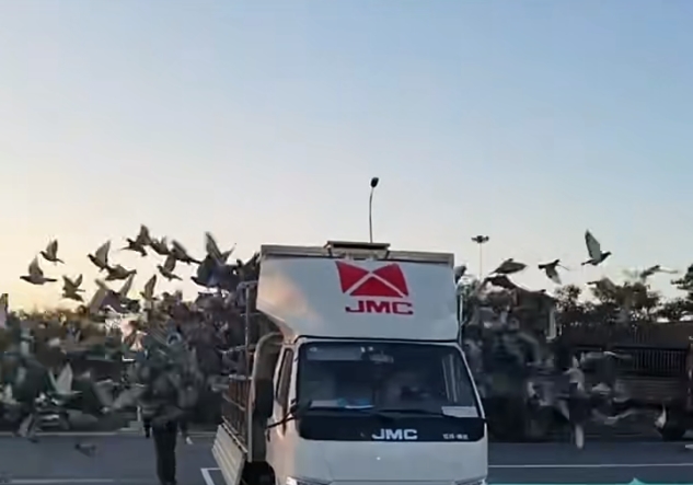 �ٶ�Ϊ������������ӥ������߷���1703