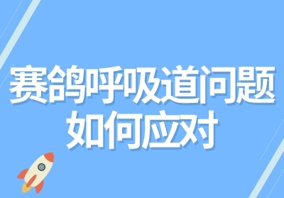����������������Ӧ�ԣ�