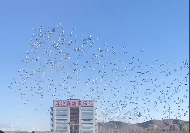 ǿ�߶Ծ�����������׹�500���￪ս