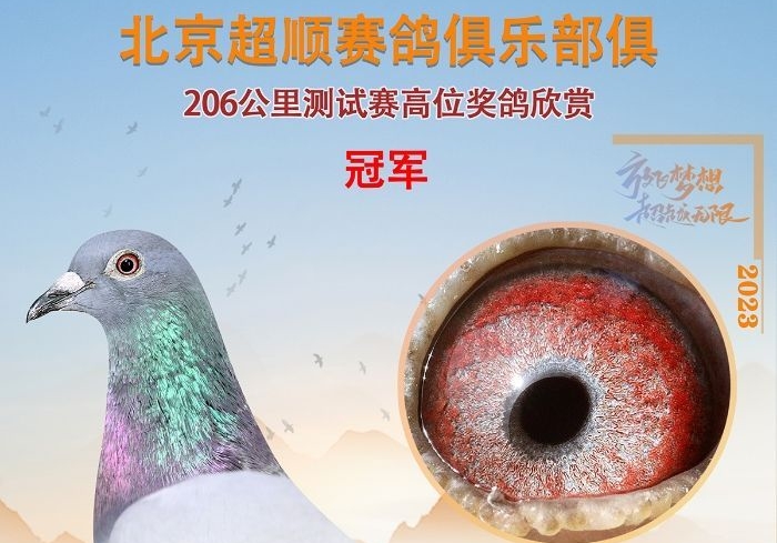 �ٶ����������£�Χ�۱�����˳ǰʮ������