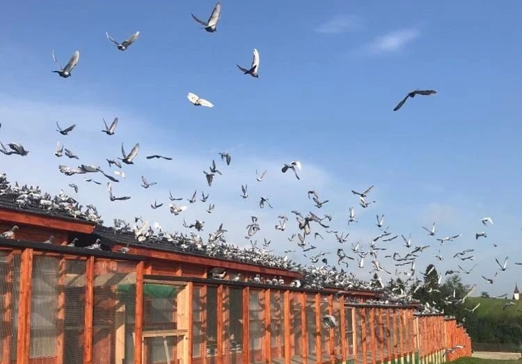 ��ѧ�����롪����ѧ���ܽ������� ֻ�о���