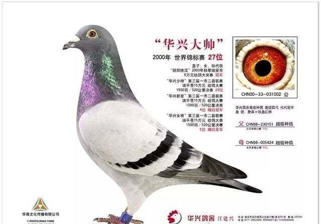 ÿ��һ�룺�����˴�˧��