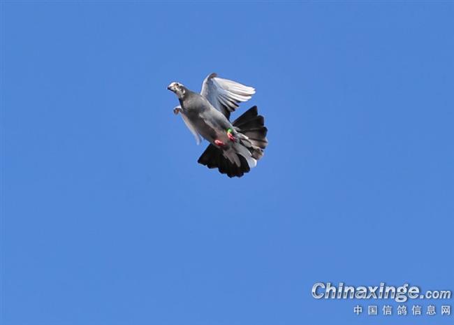 ����28��������ھ� �ɼ�ȡ���ĵ�������ʲô��