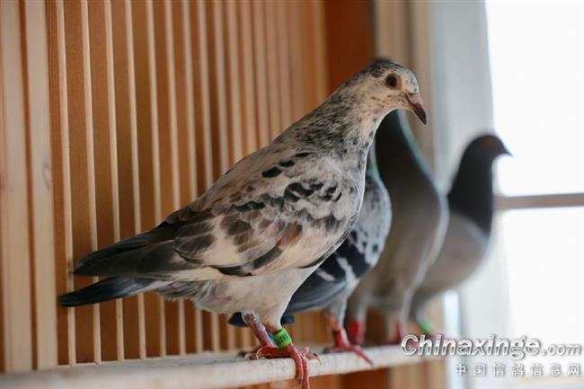 ������������