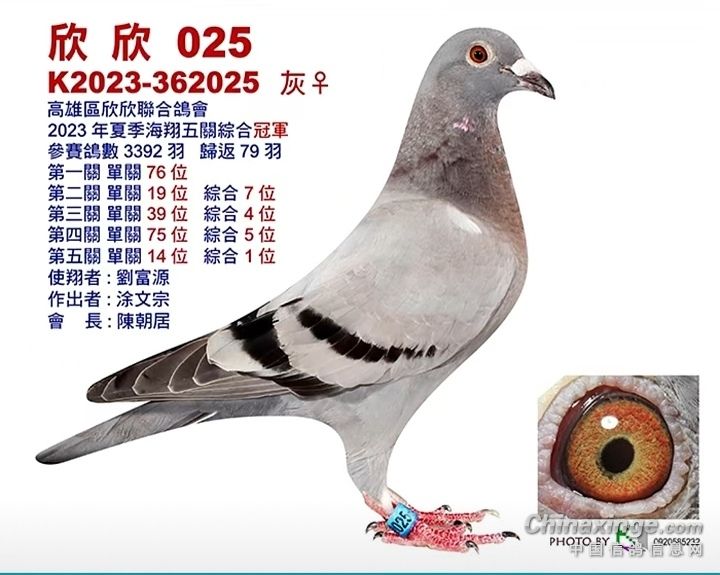 6���ļ�̨�庣������ۺϹھ�����