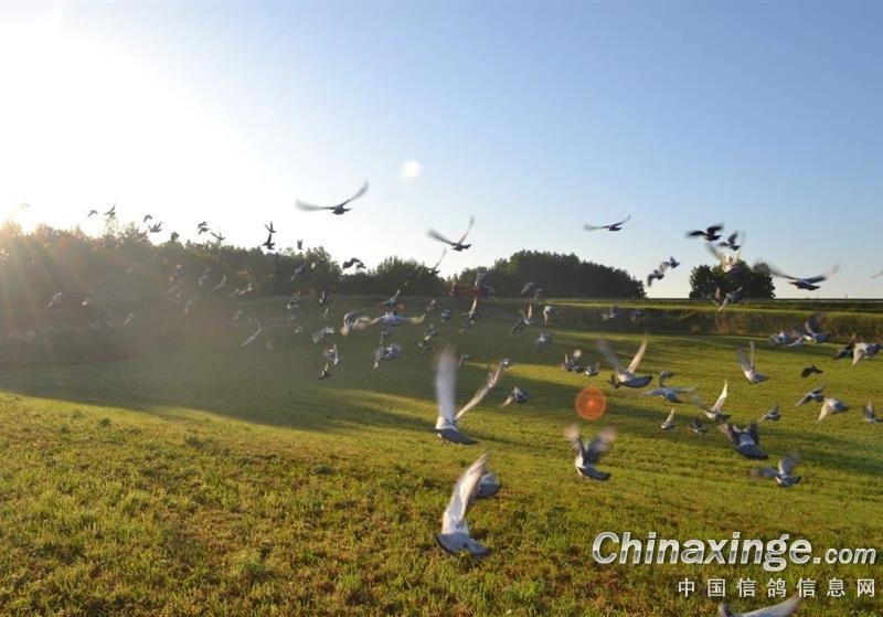 ����˼�뿴���룺���볡��û������ھ�