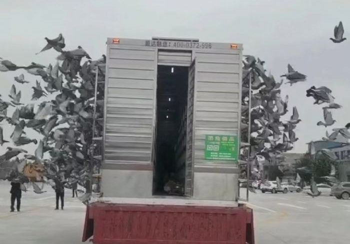 ������鳲 ���ֲ���һ�ز������