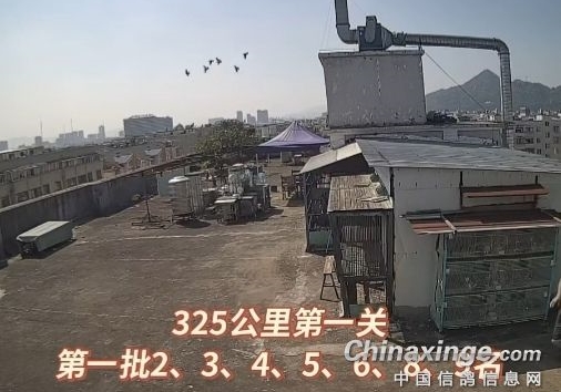 ����ƽ�������׹� �Ǿ������ɳ��λ�