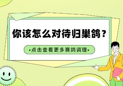 ��������������ô�Դ��鳲�룿