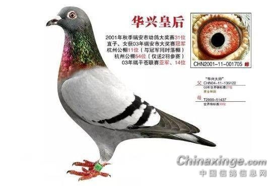 ����ÿ��һ�룺������ĸ�����˻ʺ�