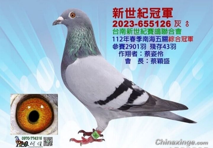 ����̨�庣������ۺϹھ�����