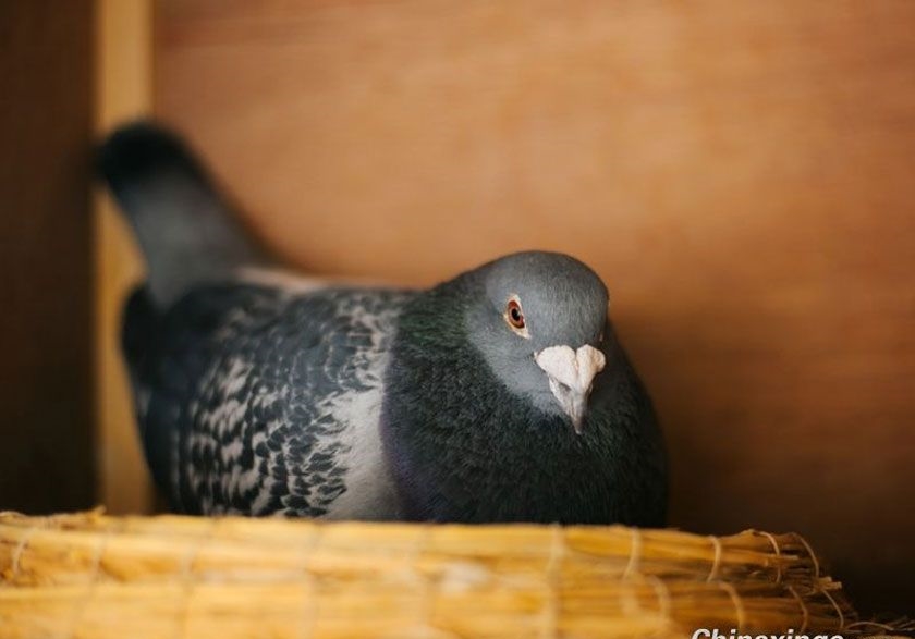 �����㲻���й���