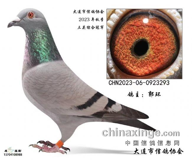ţ�ˣ�һ������������ ������ȹھ����¯