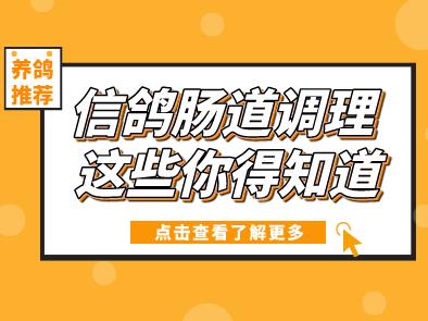 �Ÿ볦������ ��Щ���֪��