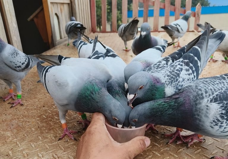 �Ը����ٶ��й�ϵ��