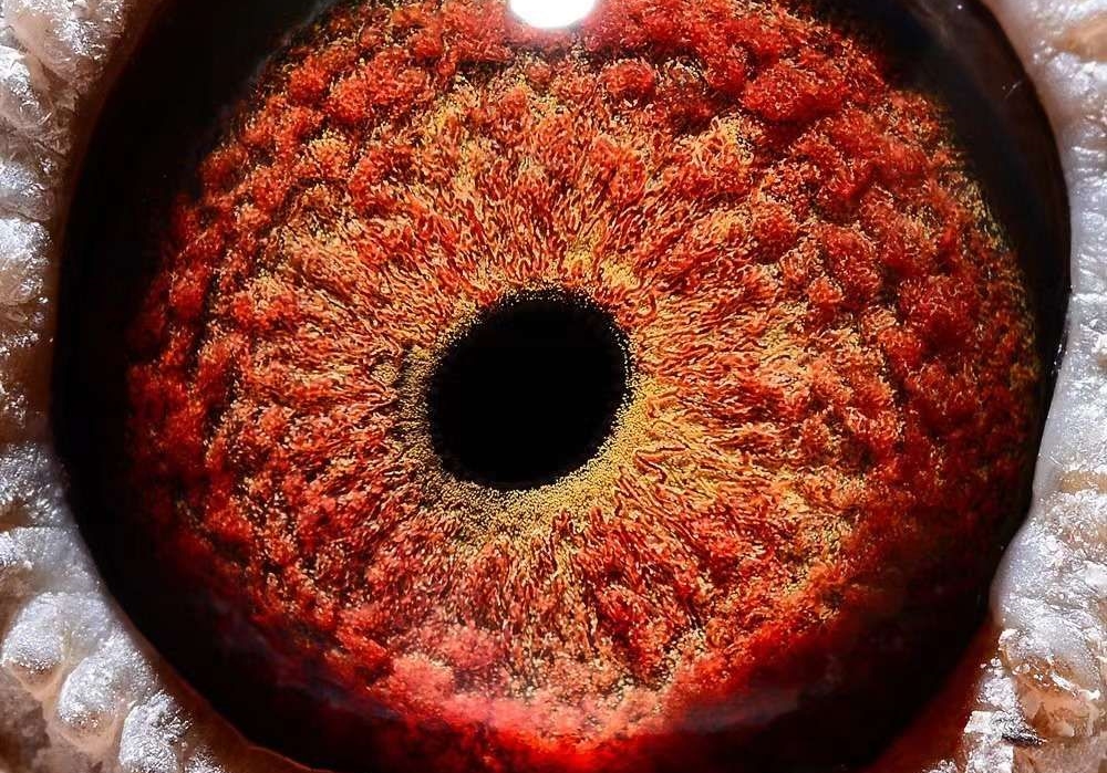 ˭�ܽҿ�����֮�գ�