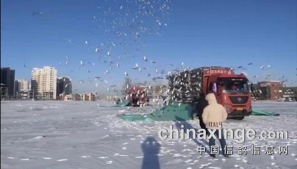 ����22���������� ƽ����Ƽ�ս����ѩ�񡱹鳲���˳�