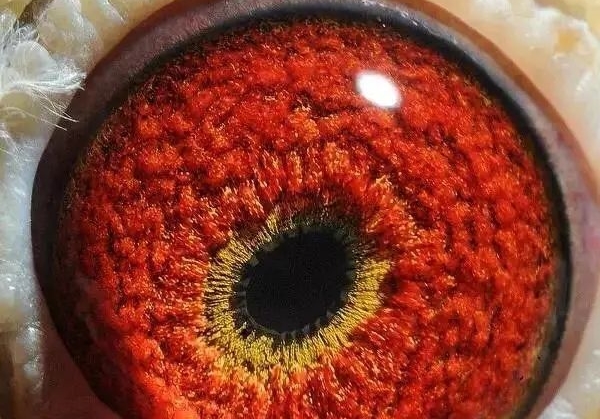 һ�����ֵĺð취