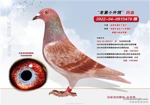 ��筸���Գ�����Ĺ���
