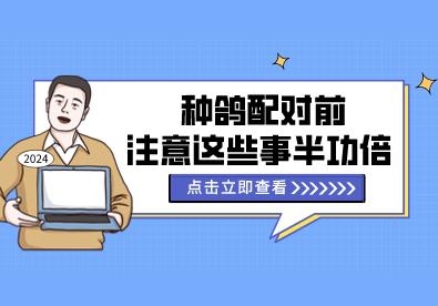 �ָ����ǰע����Щ�°빦��
