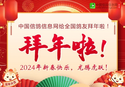 拜年啦！中国信鸽信息网恭祝鸽友新春快乐！