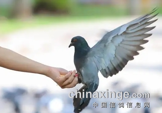 ��������� �һ���Ҫдд���루ͼ��