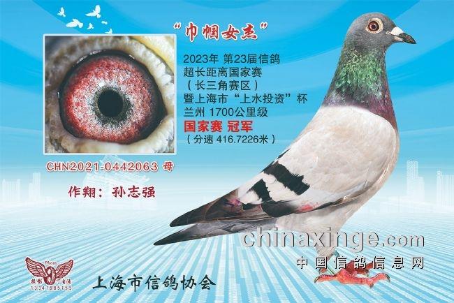 վ೬2300ϺԶ˾Ÿ 