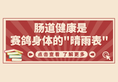 ���벡���Ρ�������������������ġ��������