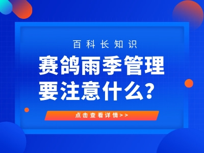 �꼾����Ҫע��ʲô��