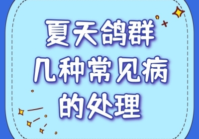 �����Ⱥ���ֳ������Ĵ���