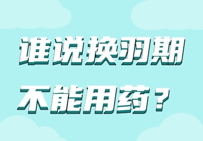 ˭˵�����ڼ䲻����ҩ��