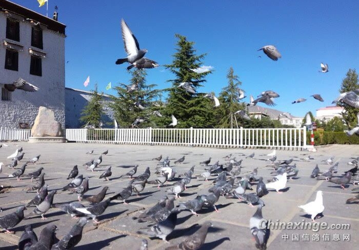 ���Ӽҷ�������ô�죿